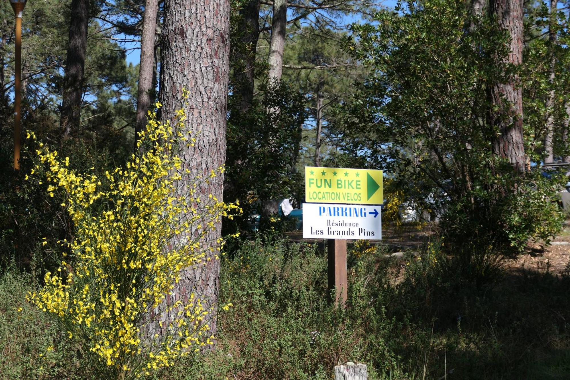 קרקן Apt Les Grands Pins, Entre Foret, Lac Et Ocean מראה חיצוני תמונה